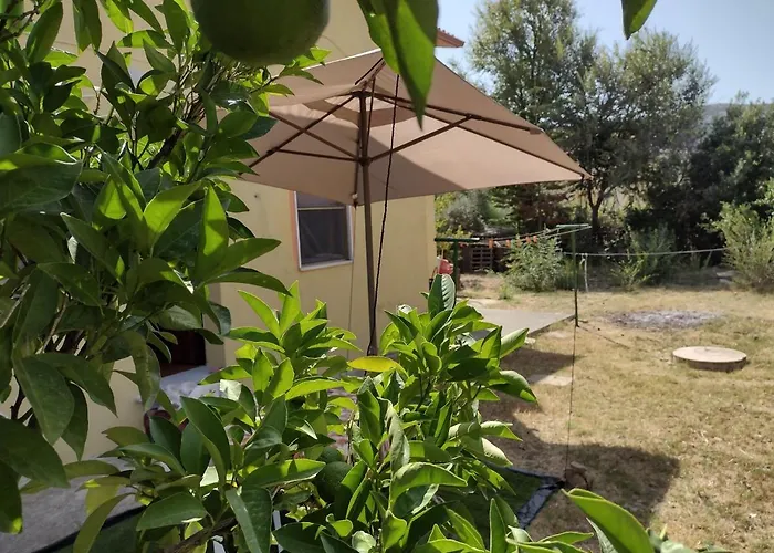 Sa Domu De Peppinu